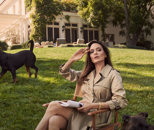 Angelina Jolie On Why She Is Backing Legislation For A More Sustainable Fashion Industry BY EMILY CHAN 4 April 2024 (Source: BRITISH VOGUE)