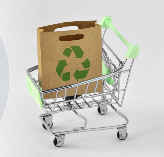 The Best Eco-Friendly Gift Ideas for the Sustainable Shopper